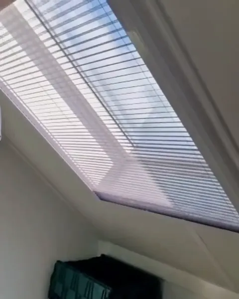 Horren in een dakraam van Horrenzaak